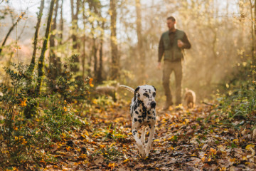 Truffle hunting & cooking show- Group tour
