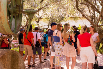 Guided Tour of l'Oulibo
