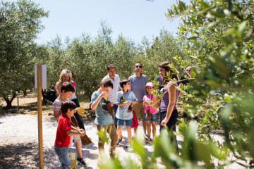 Guided tour Family package