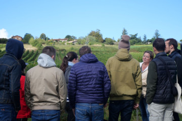Beaujolais, villages and castles