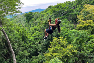Zipline Offer
