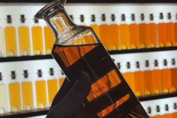 A day in Cognac - including visits & tastings at 2 estates
