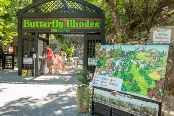 Butterflies & 7 Springs