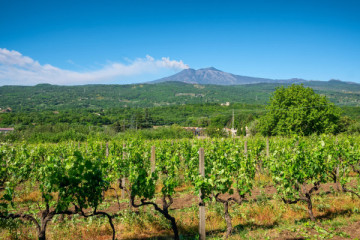 Fly over the craters, land in the cellar with shuttle included and extra tasting