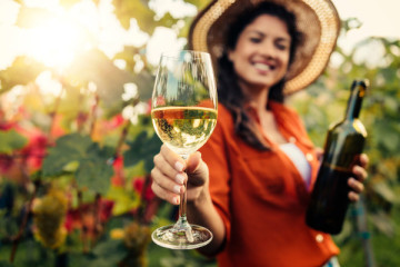 ADD ON WINERY VINEYARD