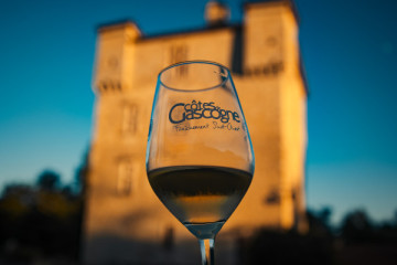 Guided tasting - 8 wines
