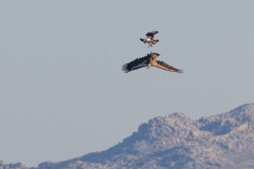 Sierra de Grazalema Natural Park