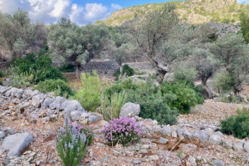 GR221 Andratx - Sóller