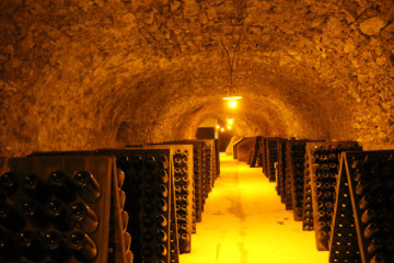 Immersive tour of our cellars, located 15 metres beneath the estate.