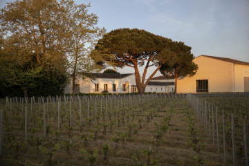 Visit and Tasting of Château de Fieuzal in English
