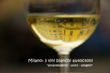 3 ITALIAN NATIVE WHITES surprising, unique & long-lived