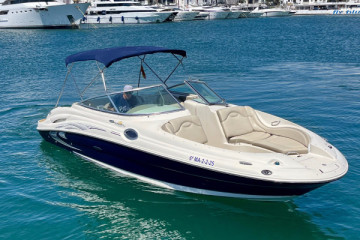 Sea Ray 270
