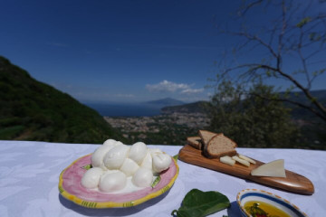 Authentic Italian Farm Experience