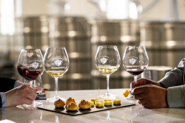 THE EPICUREANS EXPERIENCE