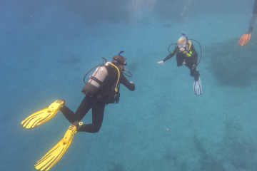 2 Dives for certified divers