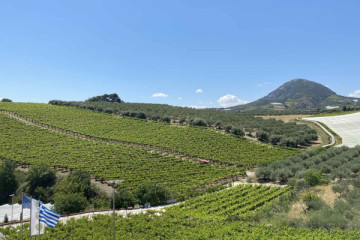 KNOSSOS PALACE TOUR & THE VALLEY OF ZEUS (OLIVE OIL & WINE TASTING)