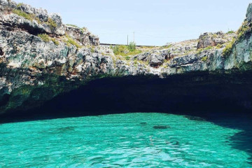Excursion to the Caves – 3h West and East Coast