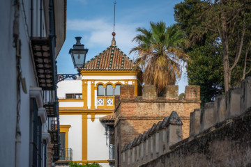 Free Tour of the Santa Cruz Neighbourhood