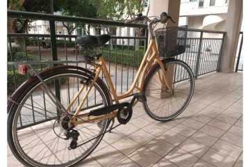 Wolfbike lightweight bicycle