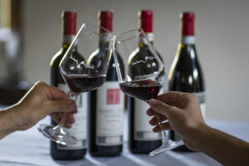 A Journey through Langhe and Monferrato