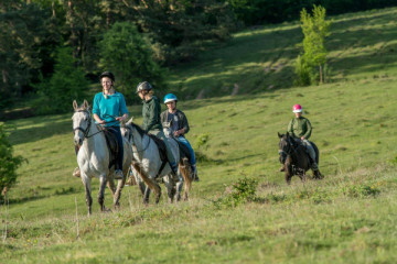 Saxon Echoes: A Riding Path