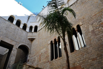 Picasso Museum of Barcelona: Entry with Audioguide