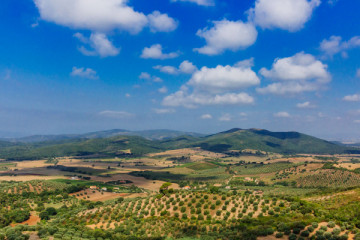 Tuscany Full-Day Guided Trip w/Wine Tasting