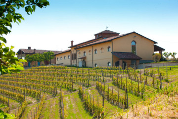 Tenuta Rocca