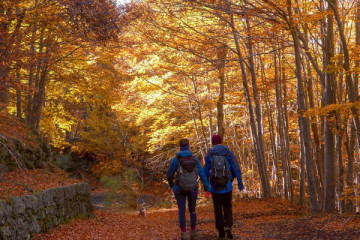 Etna Foliage Hike