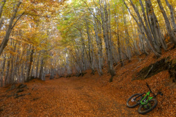 Etna Foliage Trail