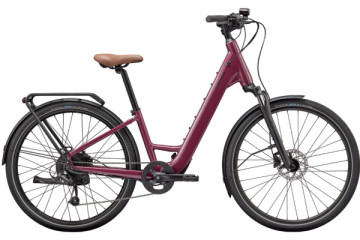 Trekking e-bike