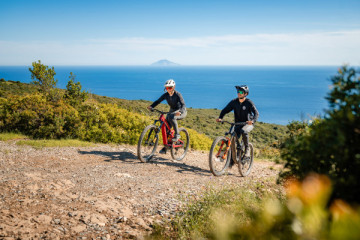 Bike Rental