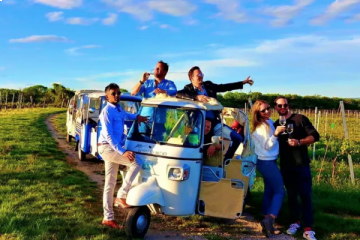 La Dolce Vienna - Wine Picnic