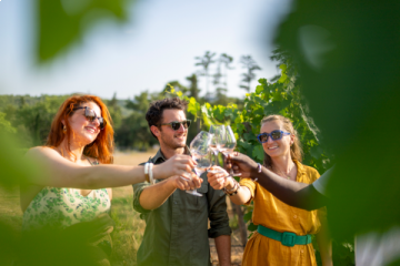 Full-Day Shared Wine Tour - Departure from Nice - Côtes de Provence