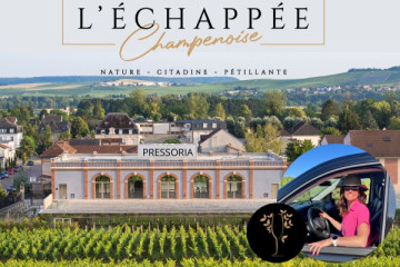 Pressoria & Vignerons tour from Reims