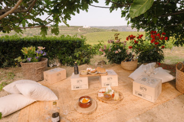 Wine Picnic