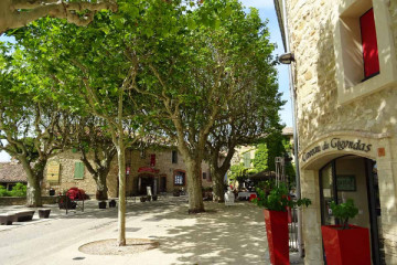 Châteauneuf-du-Pape, Gigondas & Vacqueyras, day tour from Avignon