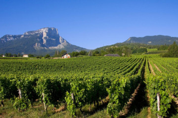 Annecy and the Vineyards of Savoie