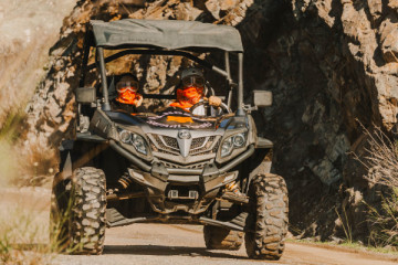 Rent classic buggies