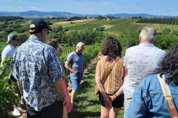 Guided walk through the Beaujolais vineyards