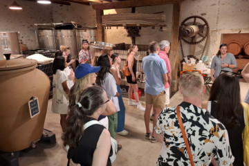 Guided winery tour in Beaujolais