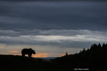 Private Family Day Trip -  Timeless Traditions & Wildlife in Harmony