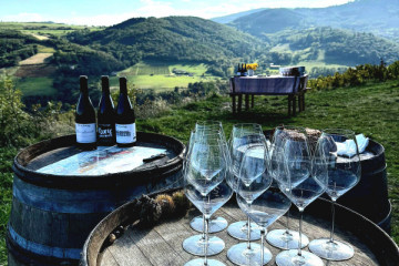 Wine tasting overlooking Beaujolais vineyards
