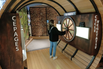 Winemaking explantions