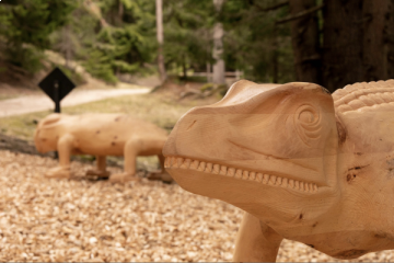 Adventure Tour Saurian Trail – A Journey Through Time and Space
