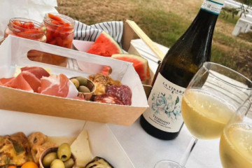 Viator: Open Vineyards - Wine Tasting "Vigneto"