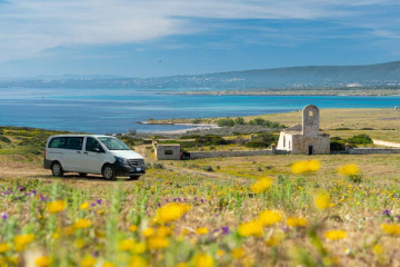 Van off-road Asinara excursion