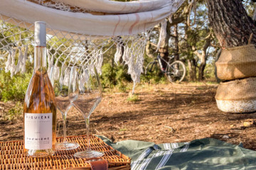 Walking trails in the vineyard