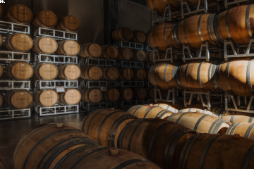 Vite Colte - Tales from Piedmont