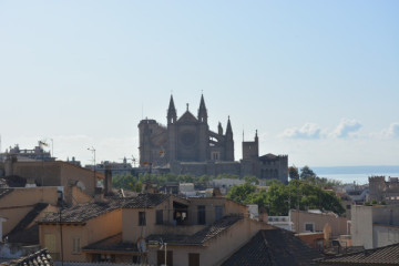 Palma Shore Excursion Bike Tour - Small Groups